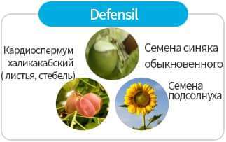 Defensil