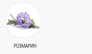 розмарин
