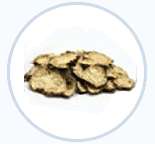 жгун-корень